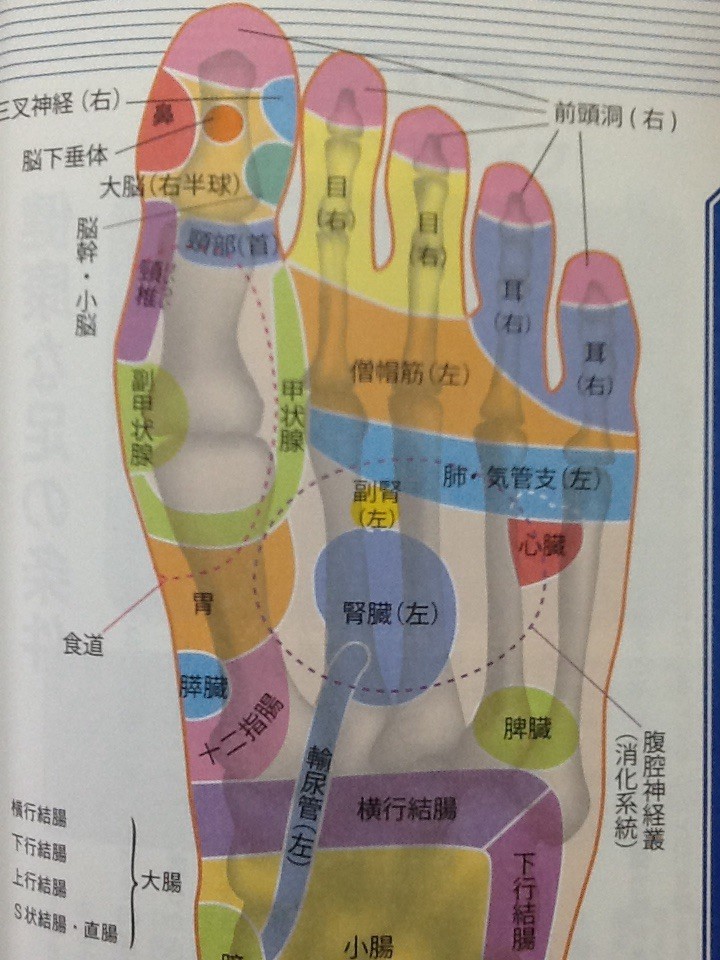 揉みにくい場所ですが 山梨県甲府市 官足法の足もみ 足つぼ 足踏み健康法 あしもみや